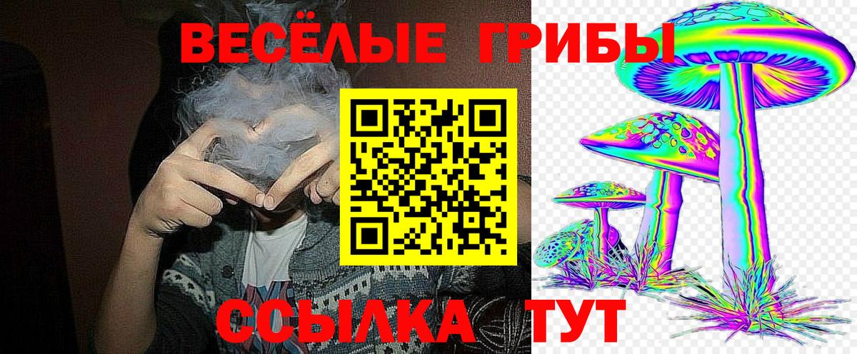 Псилоцибиновые грибы Cubensis Чусовой