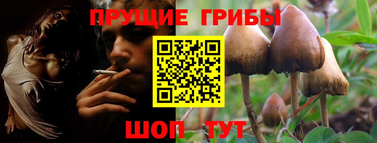 Чусовой  хочу наркоту  Псилоцибиновые грибы прущие грибы  Вход с VPN  Псилоцибиновые грибы Psilocybine cubensis 